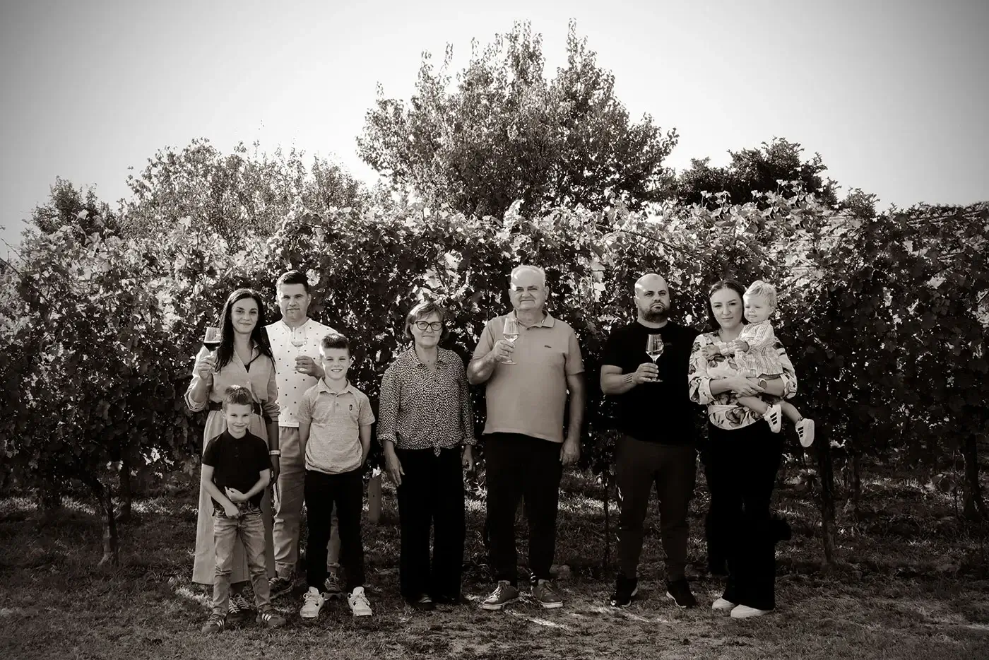 Vina-Košutić-VIGNETTE Vina Košutić